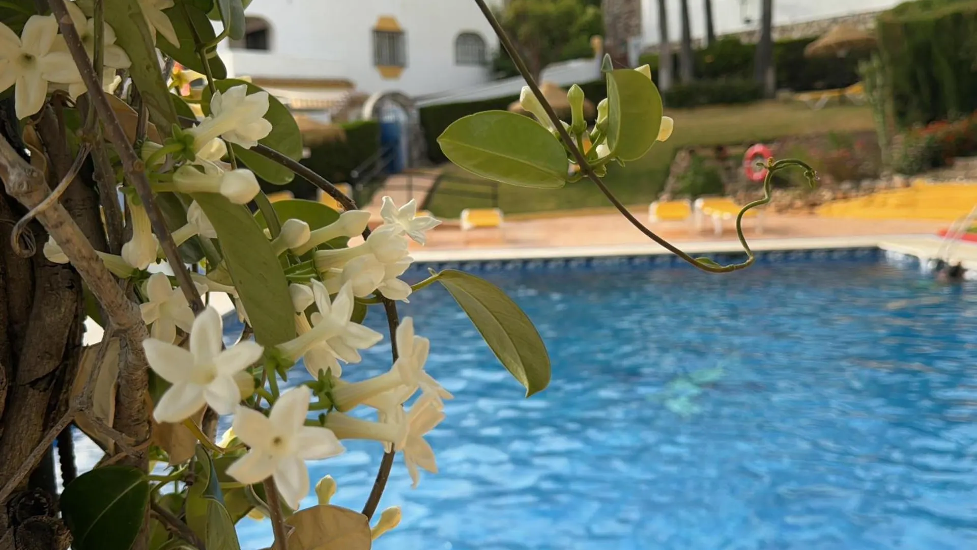 Summer Paradise In Benalmádena 0*,
